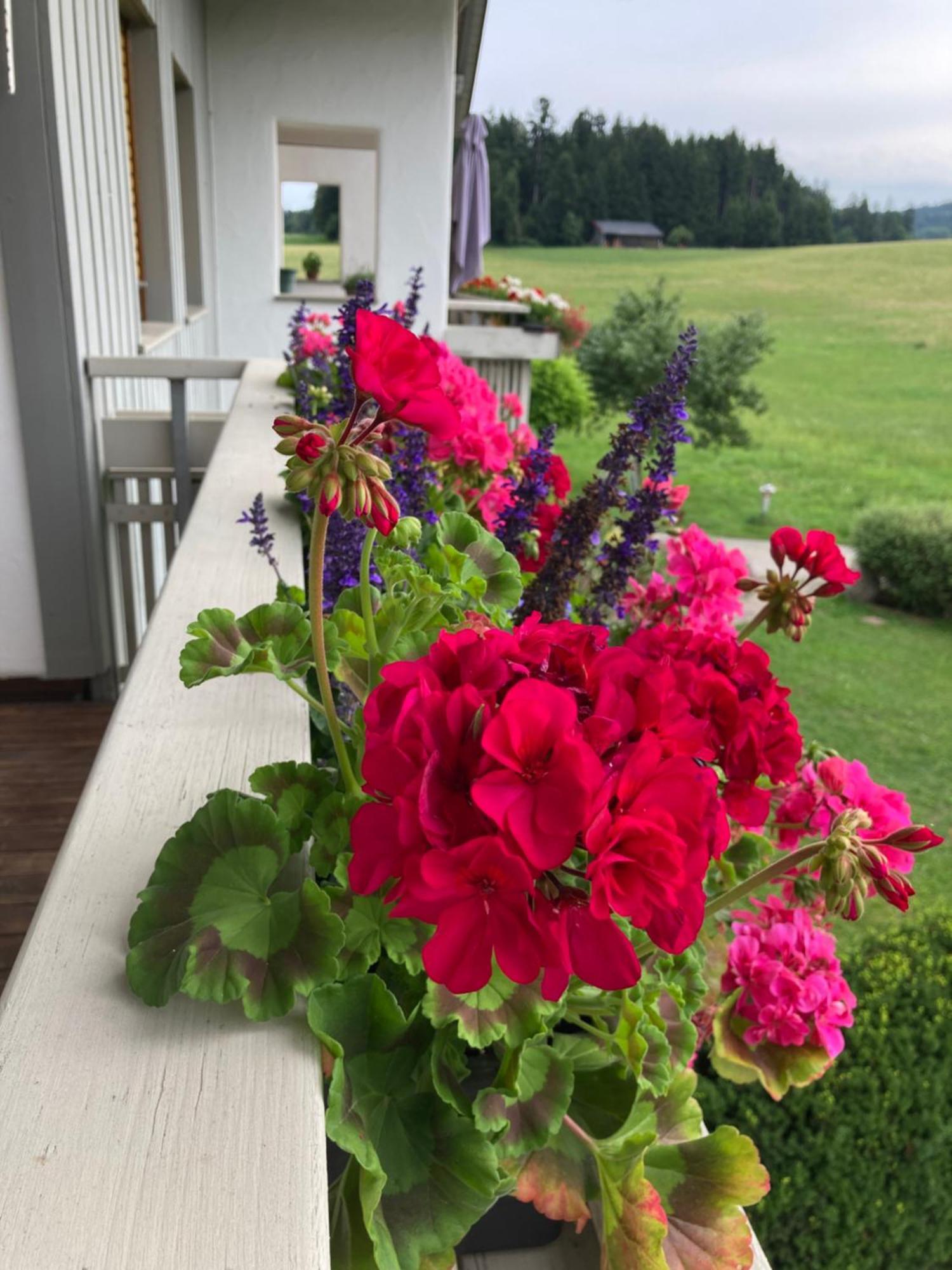 Apartment Allgaeu-bodensee Sigmarszell